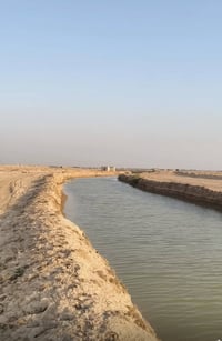 النشوه • ١٤ دونم • أرض زراعية