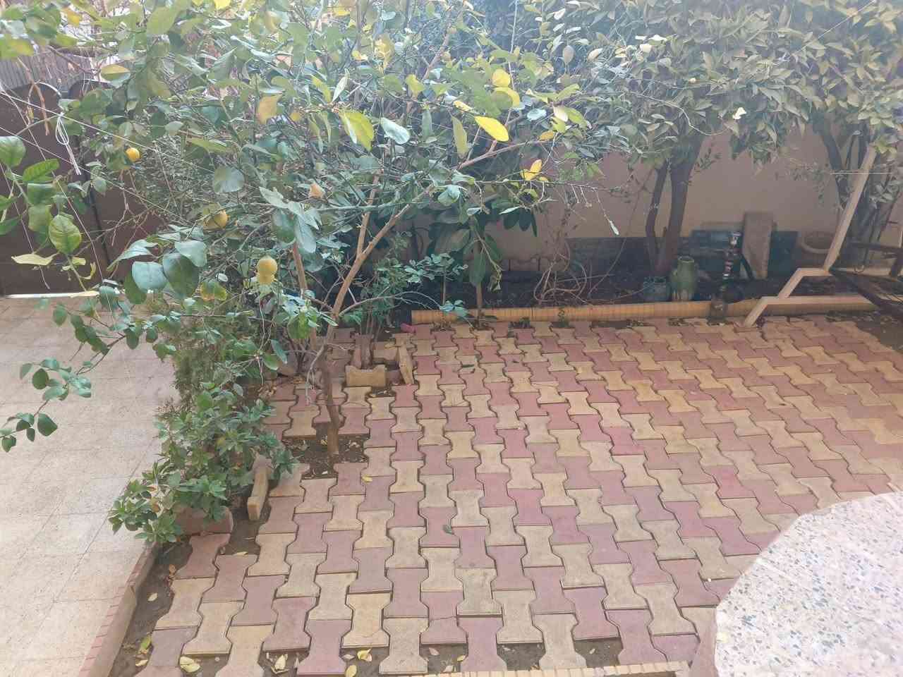 #عروض #مكتب #أسوار #المدينةللعقار
#دارللبيع
______________________________________

عنوان الدار 💥💥💥💥 حي الحدباء الثانية
مساحة الدار 💥💥💥💥 ٢٤٠ متر
واجهة الدار 💥💥💥💥 ١٢ متر
اتجاه الدار 💥💥💥💥 قبلة 🕋
مكون من طابقين 💥💥 الطابق الأول 💥💥 غرفة نوم ومطبخ وهول واستقبال وصحيات
الطابق الثاني 💥💥💥💥 ثلاثة غرف نوم وهول وصحيات
سعر الدار 💥💥💥💥 ٢٩٠ مليون 
______________________________________
 موقع مميز جدا،، قريب على سايدين المضخة وجامع ذكوان،، مكاتبة مع الشرعي،، شرط التحويل أو قرار اللتمليك✍️
للاستفسار مراجعة مكتب أسوار المدينة للعقار
حي الحدباء سايدين الصورة مقابل جامع المجيد 🌹
او الاتصال على الأرقام التالية
اسيا ☎️***********
كورك ☎️***********
او مراسلة الصفحة 💥
