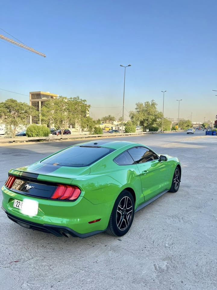 سلام عليكم حبايب للبيع اومراوس موستنك موديل 2019 ورد امريكي حادثه كلش خفيف ربع جاملغ وربع البنيد الدعاميه نفسها بدون دواخل مكينه اربعه سلندر ايكو بوست بريميوم فول موصفات كراسي كهرباء كراسي جلد خزن كرسي سائق كراسي تدفئه تبريد دشبول دجتل اناره داخليه متغيره رادرات جانبيه  لون تفاحي بلاد 🍏🍏 رقم اربيل شرط تحويل مكاني بغداد حي تونس لاستفسار ***********
