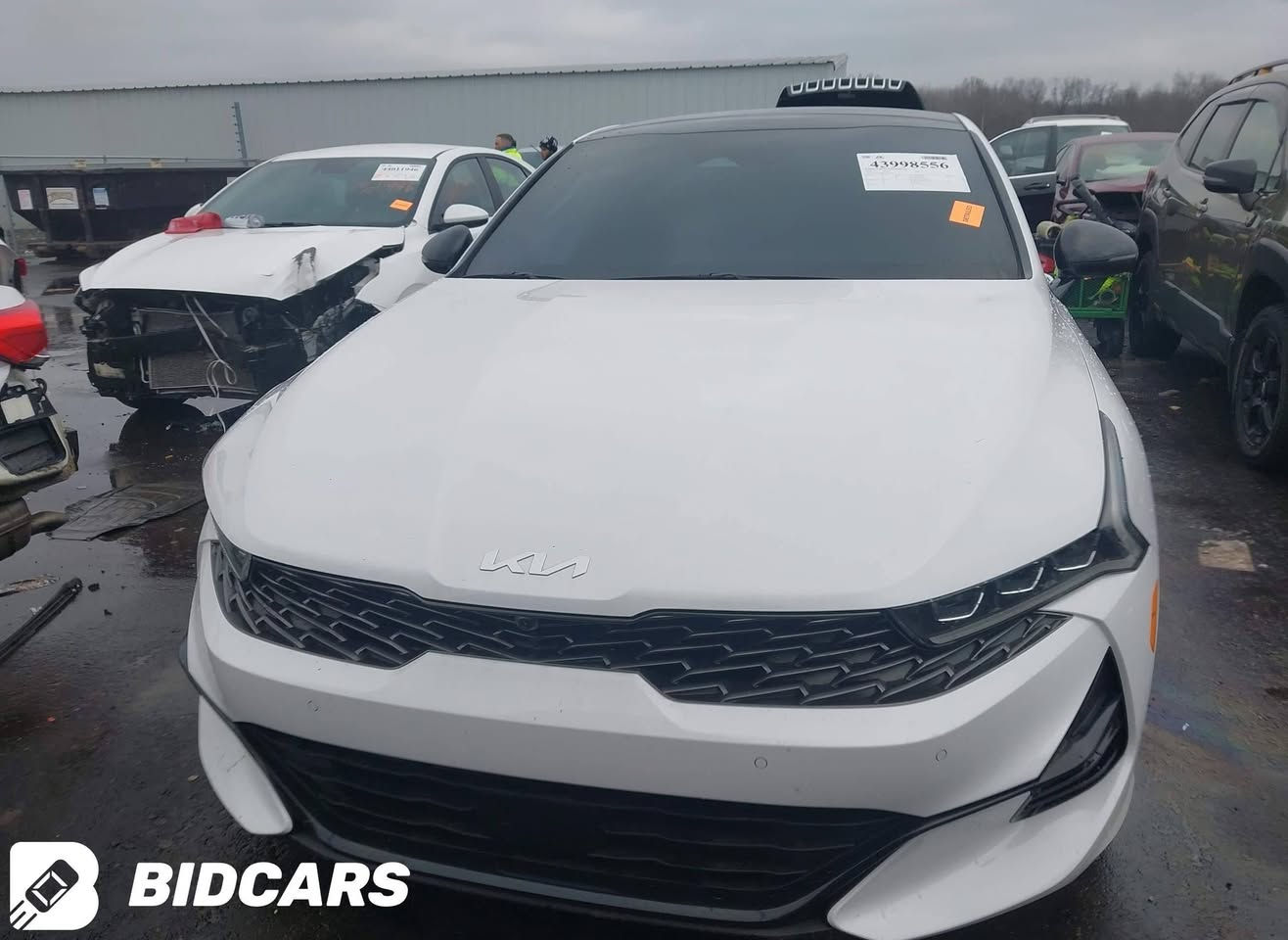 2024 KIA K5 GT
بيع مباشر 122 ورقه داخل امريكا

مواصفات رفاهية وسعر خيالي! 🔥
امتلك سيارة أحلامك من المزادات الأمريكية بأفضل قيمة وأقل تكلفة.
للاستفسار عن طرق الاستيراد.. تواصل معنا.📲"
​📍 العنوان: [ناحية شيخ سعد قرب الدفاع المدني]
*********** صادق الحداد 
*********** باسم
@إشارة
