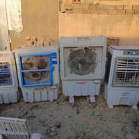 كنفيرات • عاطلة