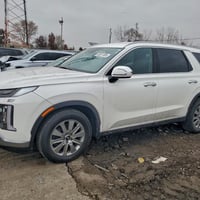 باليسايد • ٢٠٢٤ • مزاد