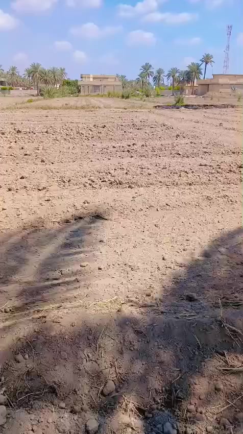 بسم الله الرحمن الرحيم 
تتوفر  وقطع  سكنيه مختلفه #للبيع #زراعي تحويل بسم المشتري 
التعامل مع صاحب الارض مباشر
 تصلح مزارع او سكن  بأسعار مناسبه الموقع في محافظة #بابل #الحله سند25 تحويل بأسم المشتري مباشر 
توجد قطع مساحه مختلفه @للبيع في بابل 
@يوجد دوانم للبيع
@يوجد نص دونم 
@يوجد  مساحه 1000متر 
@يوجد مساحه 750متر
@يوجد المساحه 500 متر
@يوجد المساحه  250 متر 
ويوجد دوانم تصلح مزارع  و سكن طريق حله نجف نزله الامام بكر  ابن علي عليه السلام اوتنزل الى مقام نبي الله ابراهيم الخليل خلف المقام  خلف المقام بواحد كيلو #السعر  اوباقي التفاصيل على  الخاص  اوالاتصال 
  ***********  اتصال 
***********  واتساب
#الجميع_عام_ارض_زراعي_للبيع
#الجميع_عام_اراضي_زراعي_للبيع_حله_بابل_دوانم_للبيع_الج #مزارع #دوانم#بابل_حله #زراعي#@الجميع@المتابعين@الاصدقاء
