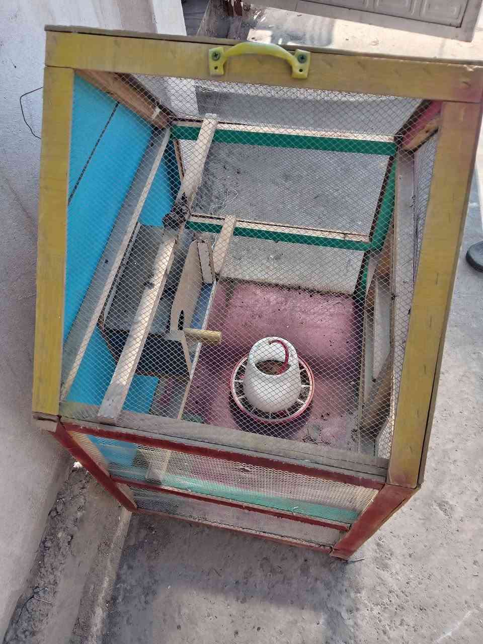 السلام او عليكم
قفص بلابل حب للبيع نظيف
السعر ٢٠ الف العنوان بعقوبه حي المصطفى خلف الكليه التربيه الاساسيه فرع الثالث نزله الملعب


**إذا كنت صاحب هذا الإعلان وتريد حذفه لأي سبب، رجاءا أرسل رسالة إلى الدعم الفني**