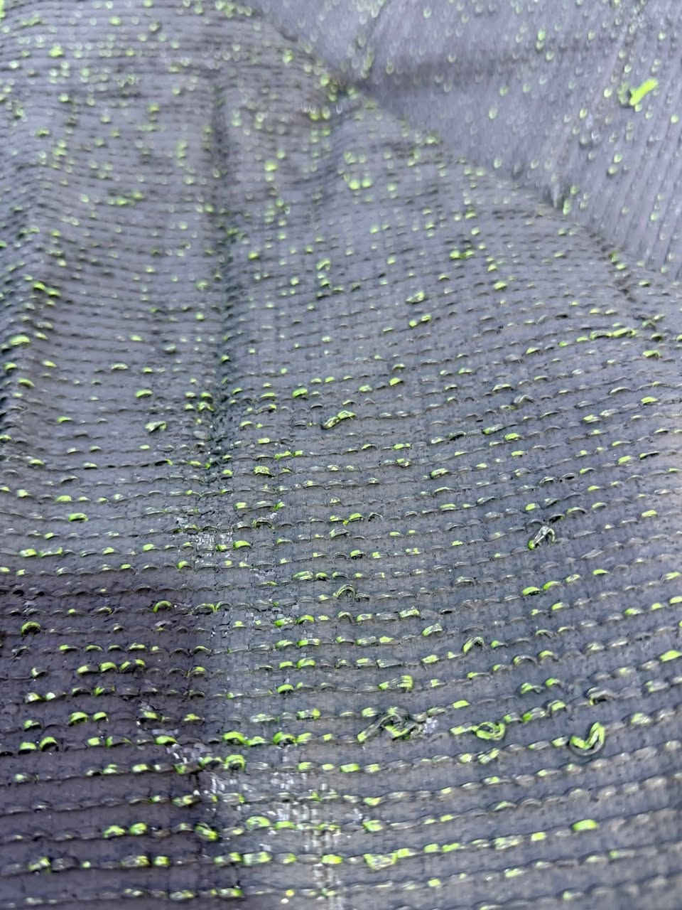 عندي شلعه ثيل صناعي 6رولات وكل روله متر ب15الف شلعه


**إذا كنت صاحب هذا الإعلان وتريد حذفه لأي سبب، رجاءا أرسل رسالة إلى الدعم الفني**