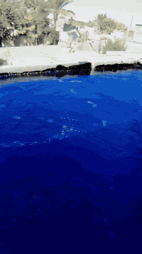 عمل الكير • كربلاء المقدسة • أسعار مناسبة