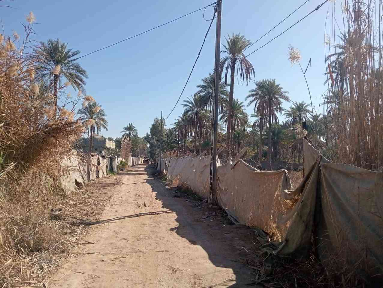 السلام عليكم ورحمة الله وبركاته...
اللهم صل على محمد وآل محمد...🏠🏠#موقع_مميز_جدا

♦️أرض زراعية للبيع طابو زراعي سند ٢٥ المساحة ٢٥٠٠ م٢ دونم واحد تحويل سند مباشر بأسم المشتري ..
♦️تصلح ان تكون مكان استراحة جميل او سكن او استثمار ..

♦️ الارض مسيجة وتحتوي على بعض النخيل والاشجار .

♦️ خدمات كاملة ماء وكهرباء وتبليط قريب جدا من الموقع ..

♦️تقع في كربلاء الحسينية منطقة ام ماشه  ..

♦️السعر المطلوب ١٩٠ مليون والتفاوض مع صاحبها المباشر..

♦️للاستفسار مراجعة مكتب عقارات الريتاج في كربلاء الحسينية حي الرسول خلف الدفاع المدني مقابل مجمع الانباري
  أبو ريتاج ألاماره ***********/ ***********
   صباح العبيدي    ***********/***********
ملاحظة الاتفاق يكون مع صاحب العقار مباشرة بدون وسيط.
