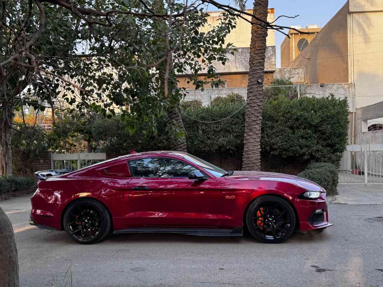 فورد موستنج 2021   GT  10 نمر ♥️✈️
فول  مواصفات  دجتال  داخل جلد  عسلي كلش نظيفة حادثها  جاملغ   نص جاملغ خلفي كلش خفيف  شخط
‎ماشية 36 الف  ميل فقط . ‎السياره كلها بلادية  وكالة  فقط  
عليها  هوائيات  وبرمجة وكلش قوية معروفة بنظافتها  .
السيارة  عليها هواية  اضافات 
دركة ار بي ام  اصلية 
اكزوز روش من طول للطول  اصلي
وبيها كواتم اكتف  تطفي من يمك الصوت 
سقف رولز رويز 
داخل الوان  متغير 
داخل جلد عسلي
كت  ماك  وان  دعاميات  
ويل ماك وان  الاصلي قبل كم يوم شديتة هوه تخم تاير 
بك لايت  سموك  اصلي 
دفيوزر  شيلبي 
سكوبات  اصلية 
حادثها موضح بالصور  كفالة عامة بدون لغد بدون شاصي  حادث سطحي   جاملغ  خلفي نصة  فقط يعني  السيارة وبالعراق  صار بيها طخة  بالبنيد   فقط بدون دواخل    ومحرك وتبريد وصدر  مكفولات وجديدات  رقمها اربيل  هزة  جديدة وسنوية باسمي تحويل مباشر مني  ورقم   جديد لل2030 والسيارة   سعرها 245 ورقة وبيها مجال بسيط  نظيفة و متعوب عليها  متتقارن بالمهجومات ♥️
*********** سجاد الخفاجي بغداد, العراق
