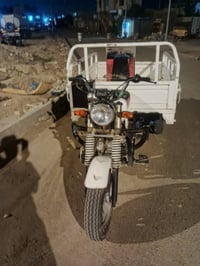 ستوته • نضيفه • مديل 16