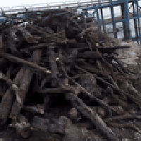 يوجد خشب رقم  واحد يابس للبيع الشراي يتصل عل هذا الرقم  07779389317