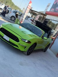 موستنك كشف • ايكو بوست • ٤ قطع