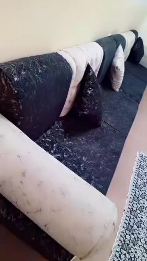 تخم تفصال مو جاهز للبيع السعر 300


**إذا كنت صاحب هذا الإعلان وتريد حذفه لأي سبب، رجاءا أرسل رسالة إلى الدعم الفني**