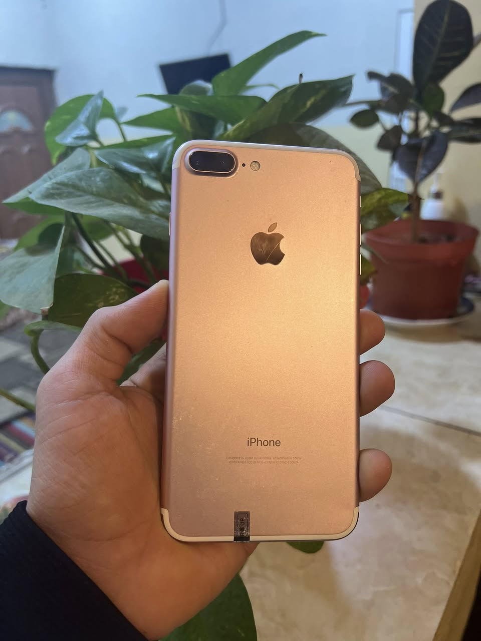 السلام عليكم للبيع 7 بلاس ذاكره 128)بطاريه 100نضيف حيل السعر 100 وبي مجال تفاصيل اكثر خاص


**إذا كنت صاحب هذا الإعلان وتريد حذفه لأي سبب، رجاءا أرسل رسالة إلى الدعم الفني**