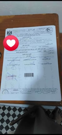 رقم معوقين • ذي قار • كامل جاهز