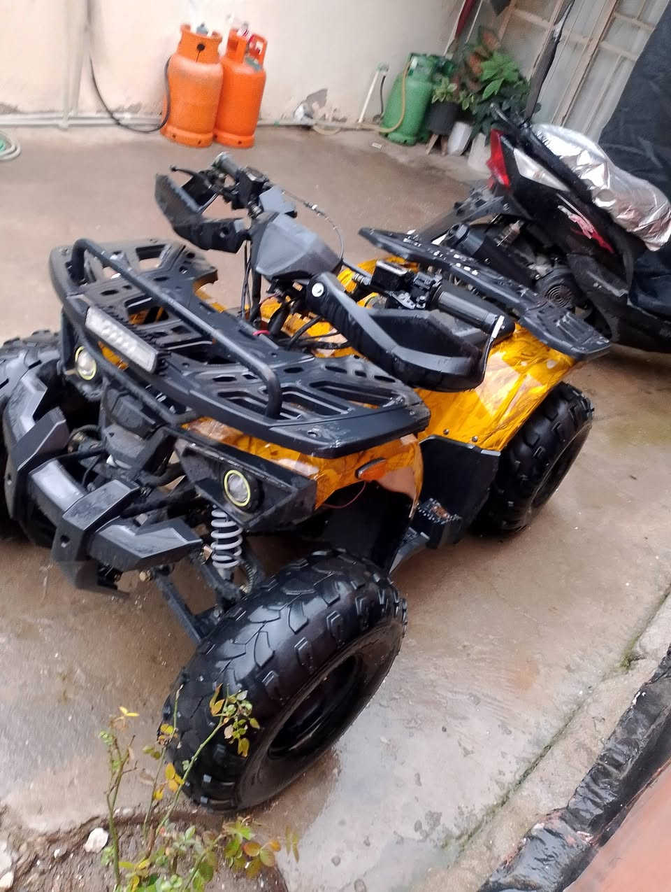 صڵاولەگشت لایەک ئەم ماتۆڕەبۆفرۆشتن زۆرپاکەمۆدیلی2024بەسفری14گەڵای پێدراوەسعری ئێستای9گەڵاتەنها2مانگ بەکارهاتووەتکایەمشتەرینیت مەڵێ چات شوێن سلێمانی گەیاندنم هەیە***********واستاپ فایبەر
