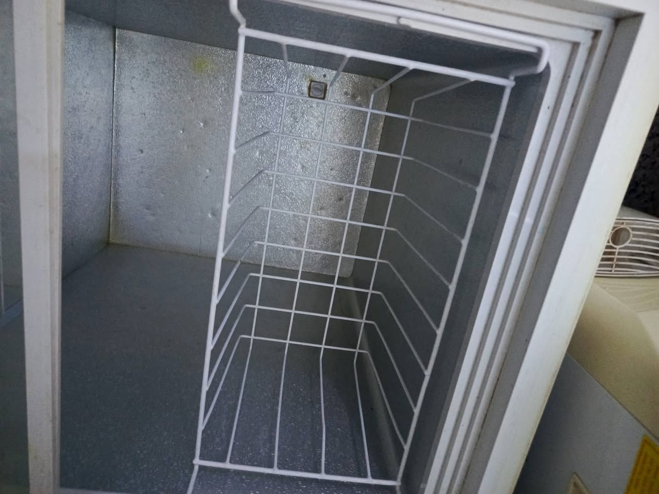 السلام عليكم
مجمده للبيع ام الدولفين بيضه حجم وسط 

السعر 175 وبيها مجال 

نضيف اخو الجديد 

للتواصل واتساب فقط ***********
