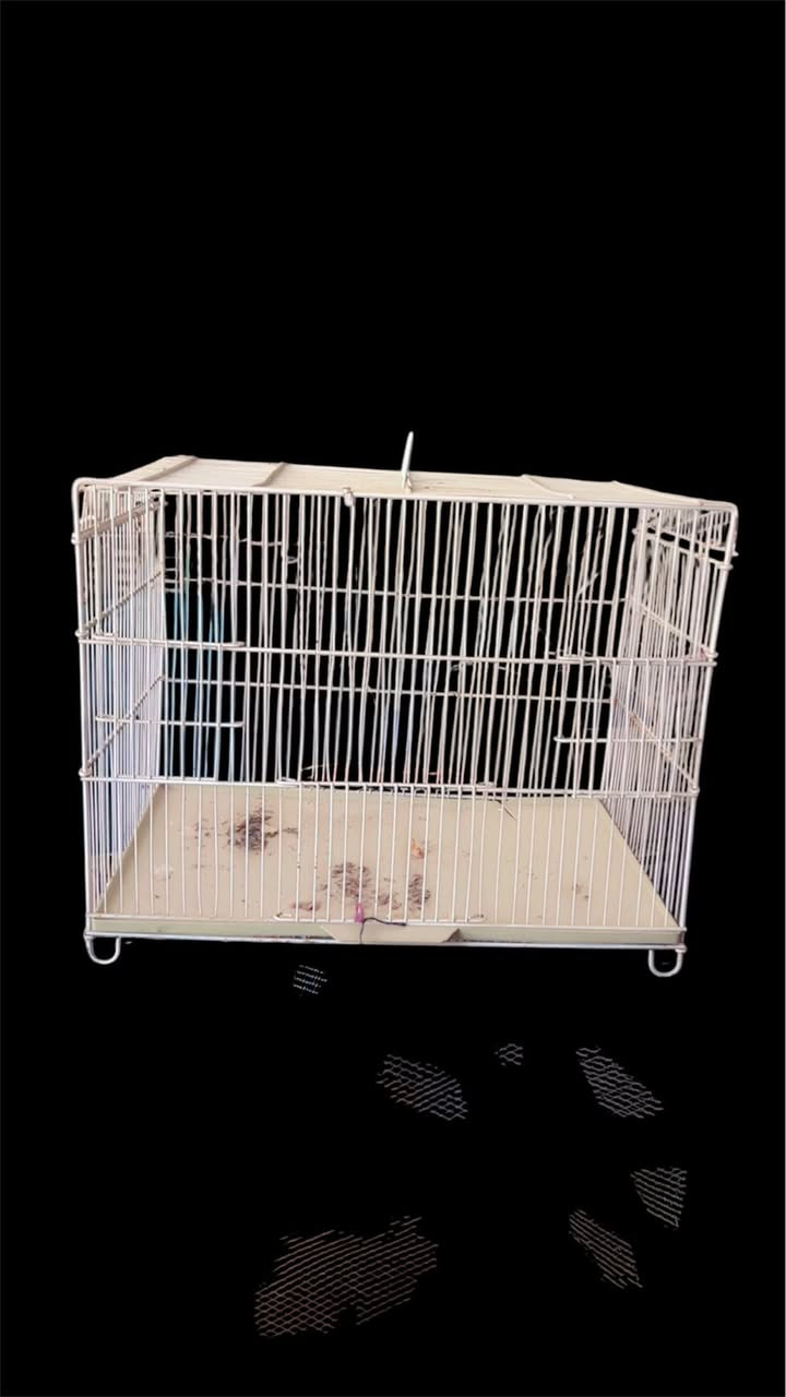 للبيع مكان الحريه الثالثه


**إذا كنت صاحب هذا الإعلان وتريد حذفه لأي سبب، رجاءا أرسل رسالة إلى الدعم الفني**