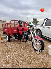 ستوتة • كفالة عامة • للبيع