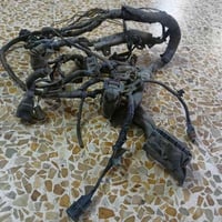 ضفيرة • نوزلات • ريو