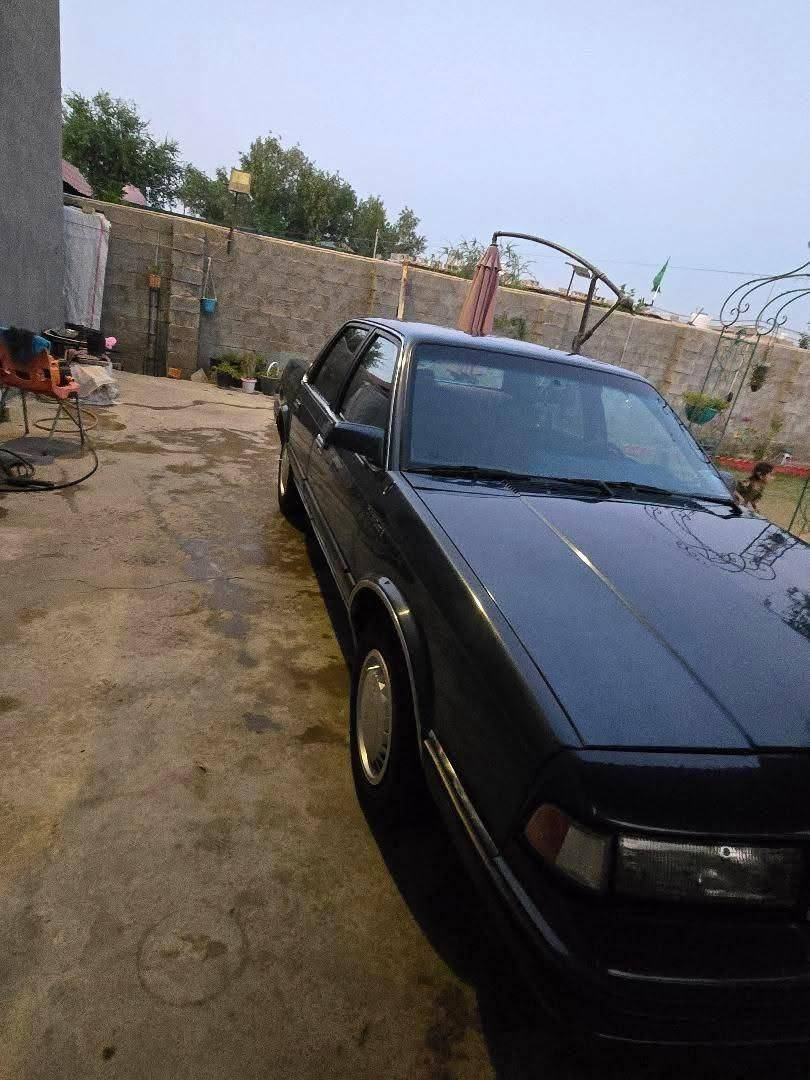 #بيع_مراوس

السعر  46$ قابل للتفاوض

اولدز موبيل 🥇

الموديل 1990

شاشة  اندرويد Car play

محرك 3400 جديد حاوية

كير 440 ميكانيكي 

صدر جاهز

دواخل 80%

صبغ عام جمالية بدون ضربة 
 باسمي تحويل مباشر
 موقعها بغداد الكرخ 
للاستفسار واتس اب او اتصال
*********** بغداد, العراق
