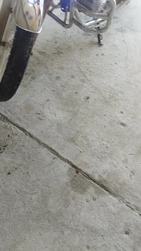 جوندا اوراق كامله للبيع بسعر مناسب الاتصال على الرقم 07711785608