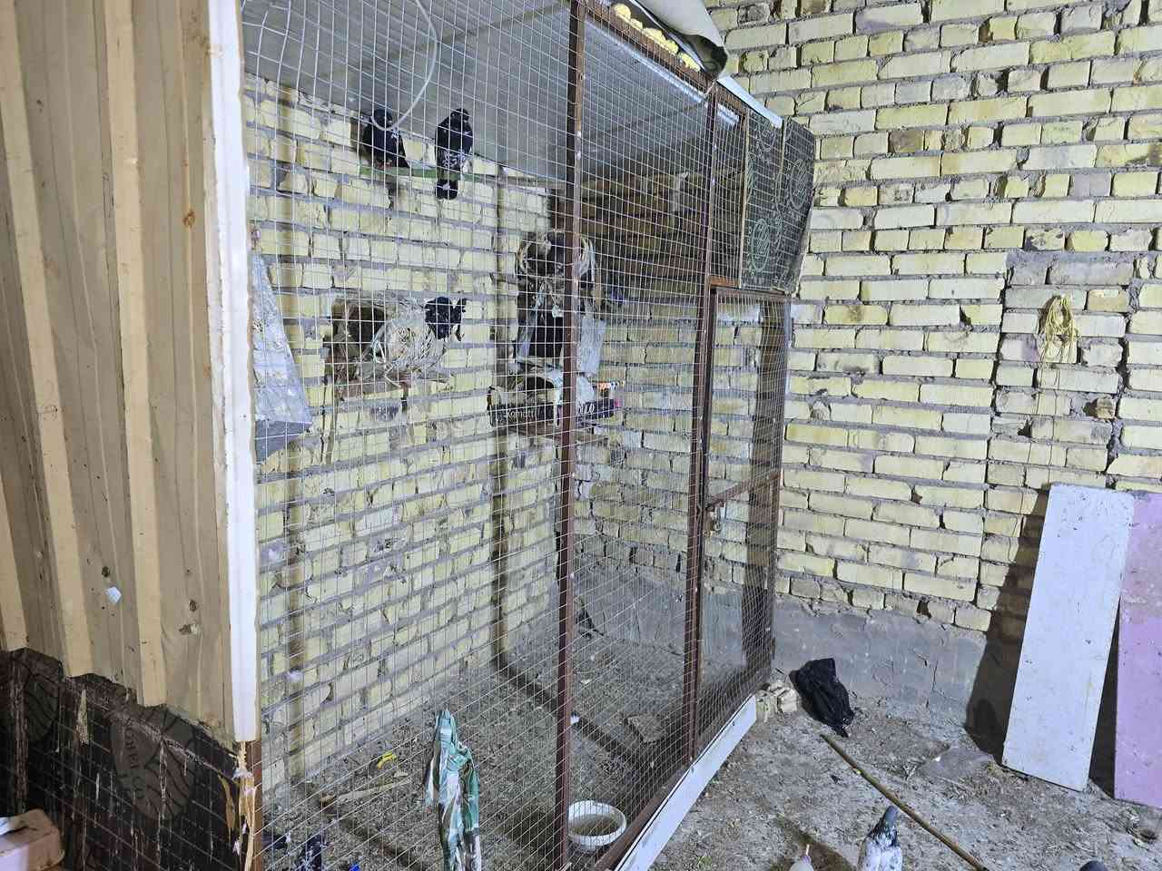 طول مترين 2رتفاع مترين 2العراض متر 1حديد


**إذا كنت صاحب هذا الإعلان وتريد حذفه لأي سبب، رجاءا أرسل رسالة إلى الدعم الفني**