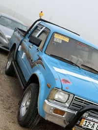 ستاوت • ١٩٨٠ • شرعي بموصل