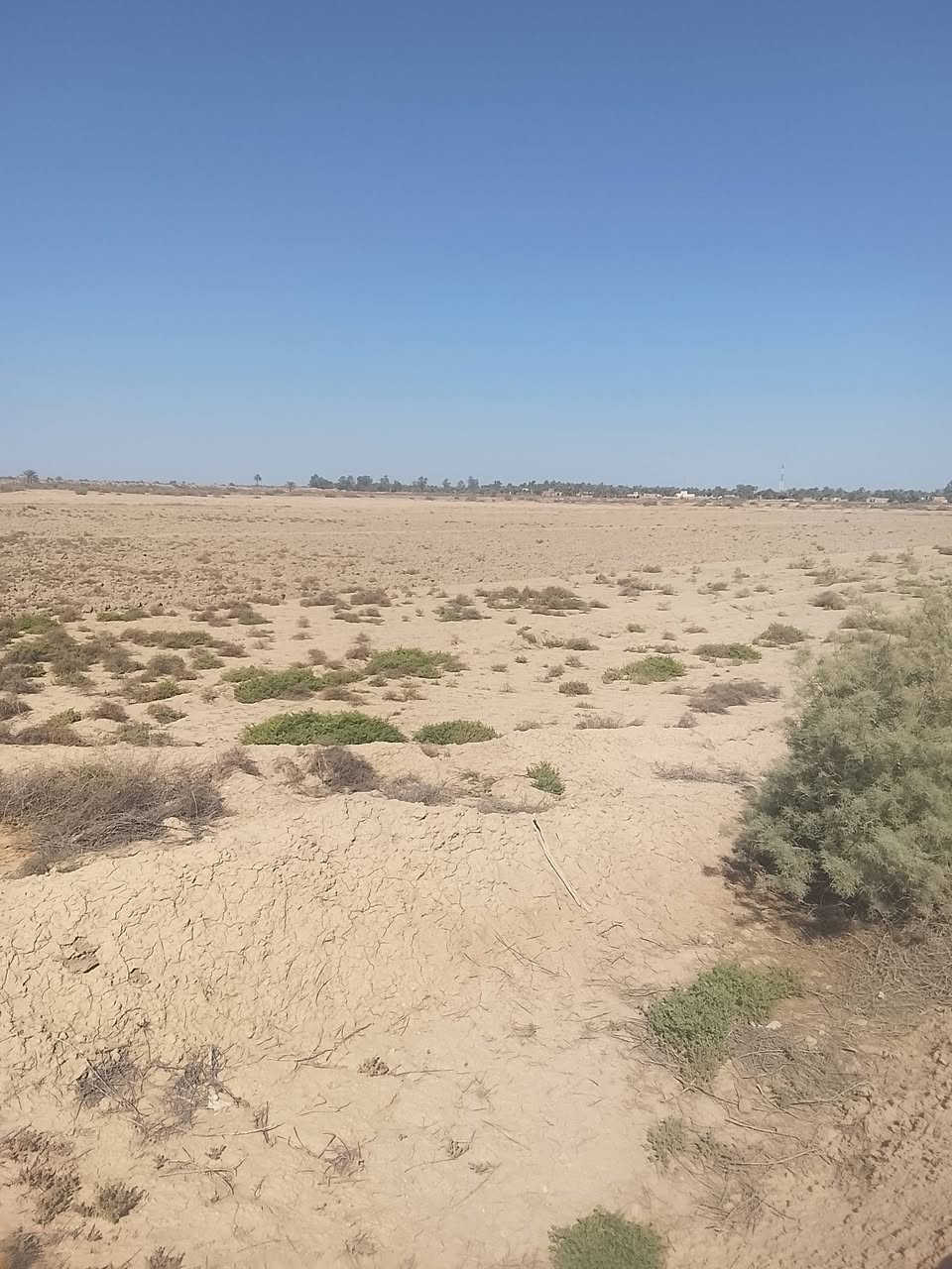 أرض زراعية للبيع مساحه 200دونم طابو زراعي سند 25مستقل إفراغ تام باسم المشتري مكان الارض ناحيه الطليعه قرب الشارع العام حله ديوانيه للاتصال أو الاستفسار ***********
