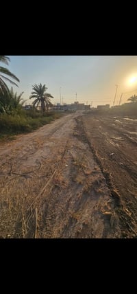طابو زراعي • شارع المعمل • ٢٥