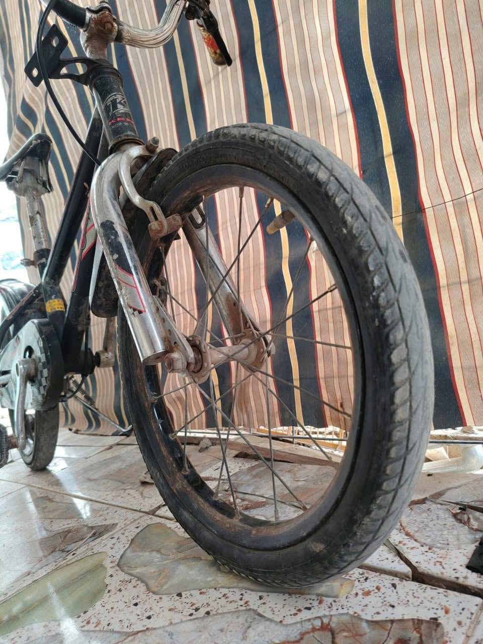 نضيف عوزه نواقص بسيطه ب25


**إذا كنت صاحب هذا الإعلان وتريد حذفه لأي سبب، رجاءا أرسل رسالة إلى الدعم الفني**