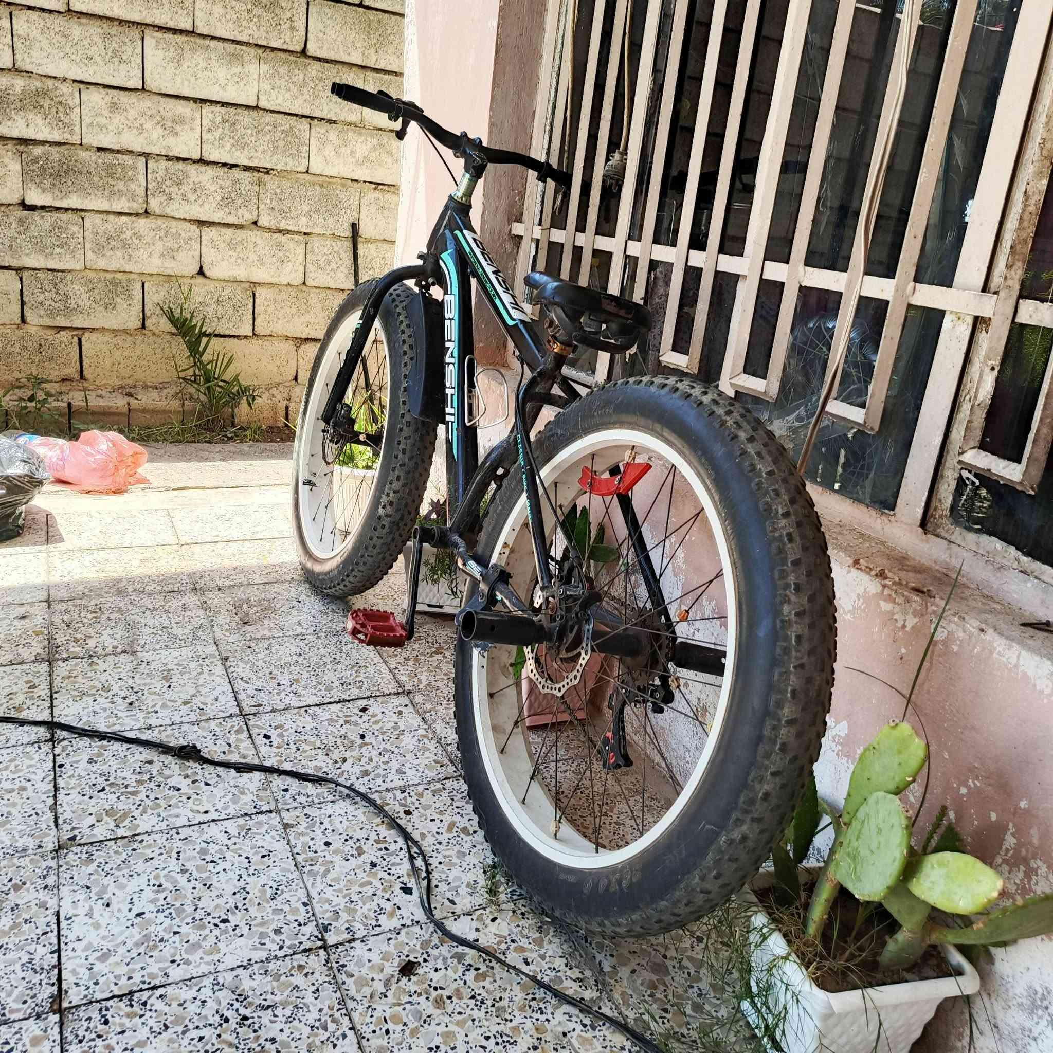 بسبب الوعود الكاذبة اعاده النشر السلام عليكم بايسكل ابو الدبلات للبيع السعر 120 الموقع ديالى بعقوبة للاستفتار هاذه الرقم *********** والخاص مفتوح
