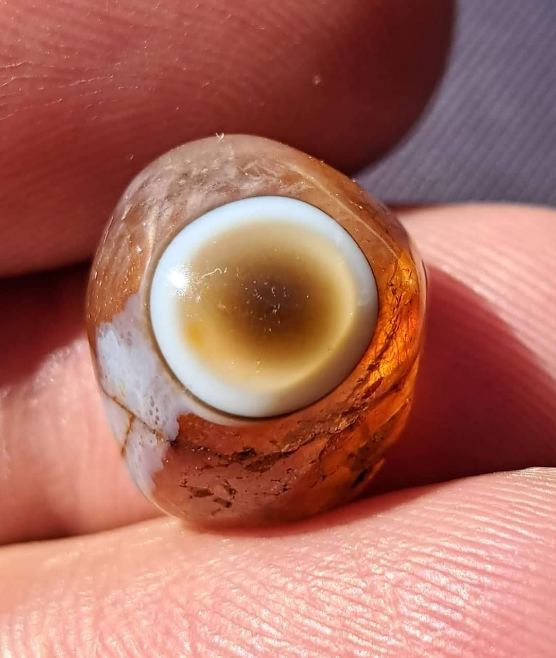 سليماني مختلف خنصرية


**إذا كنت صاحب هذا الإعلان وتريد حذفه لأي سبب، رجاءا أرسل رسالة إلى الدعم الفني**