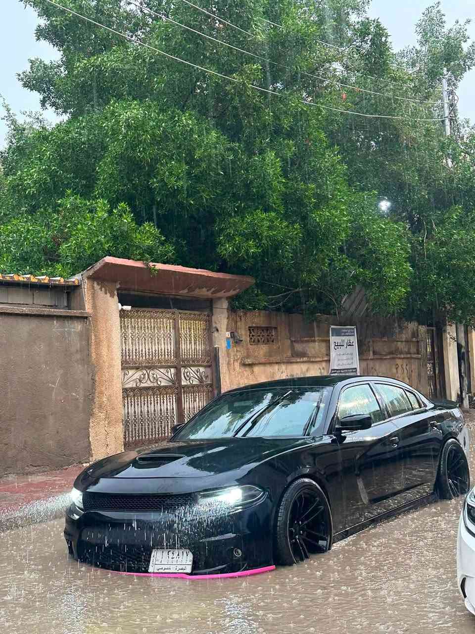 دودج جارجر  2020 5700فول عدا الرادار  rt super trak للبيع او مراوس 
سياره حادثها قطعتين بس جاملغ وبنيد ومتأذي اللغد بالحادث 

الإضافات !!
شوته AFE مغلقه
هدرز لونك BBQ 
ثروتل 95
لويات ريسنك 
الادامه من الطول للطول ريسنك
عدسه لايت قويه كلش 
لد لايت 
لد سلايت 
برمجه سيفتي 100/100
يعني تحسب الإضافات  يطلعن 40 ورقه 

مبدل كير موديل 22  بالباكيت قبل اسبوعين شديته اليوم خلص من الضمان 

سياره نقوصاتها ❌   

أقرى الملاحضات زين قبل لا تراسلني 🤍🤍
 1
بصره
 بس واتساب ***********
‎178$ مطلوبه 10 ورقات اطيح من سعرها 
تصير 168$
