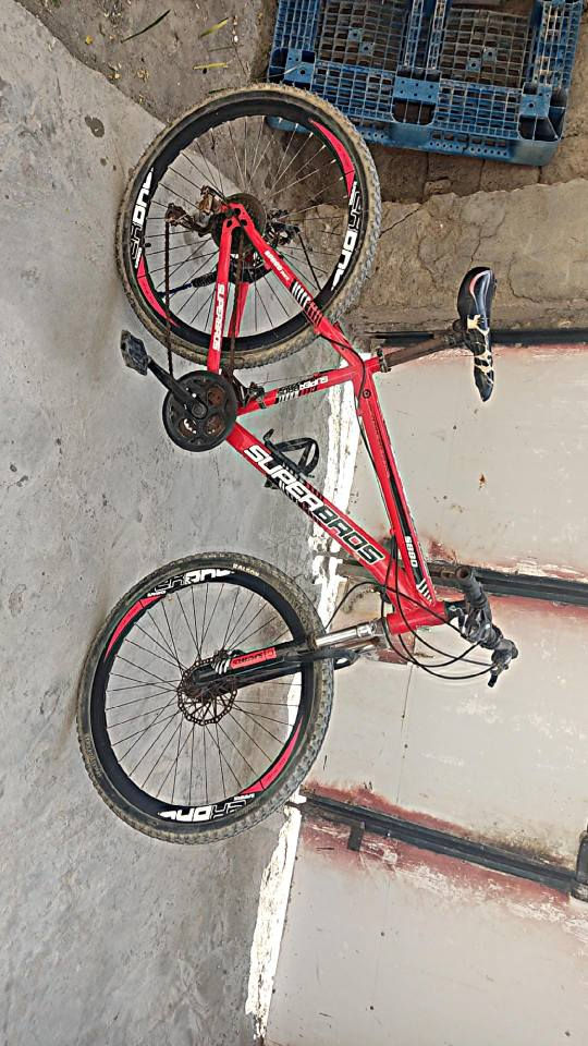 بايسكل رياضي عدد اثنين بسعر مناسب وبيهن مجال قليل للاستفسار راسلني واتساب *********** البصرة, العراق
