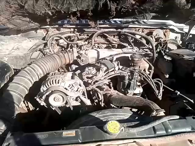 المكان ناصرية والشراي يراسل وبيه خير ويدلل
راح تتحور ففتي والسعر 500
***********
