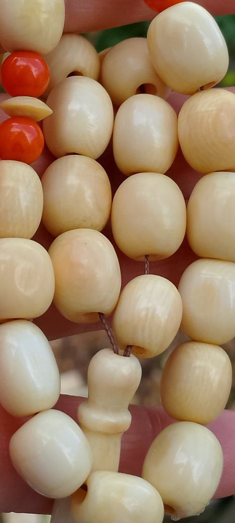 رمضان كريم عليكم بالخير واليمن والبركات 💚 
مسبحة عاج ناب الفيل انتيك شغل يدوي مبصمة عدد الحبات٣٣حبة  وزن صافي ٥٢غرام محلاية باربع فواصل مرجان وشرابة فصة حلبي 💚💚💚


**إذا كنت صاحب هذا الإعلان وتريد حذفه لأي سبب، رجاءا أرسل رسالة إلى الدعم الفني**