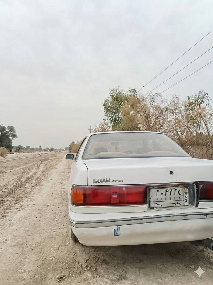 مارك عظم موديل 92 مكفوله كص ونقل جثه وضربه سنويه كارتونيه ساقطه من ال٢٠٢٠ تحويل رقم انبار تخم تاير كهربائيات كلها شغاله السعر 23 مكاني ديوانيه عفك واذا اكو مراوس


**إذا كنت صاحب هذا الإعلان وتريد حذفه لأي سبب، رجاءا أرسل رسالة إلى الدعم الفني**