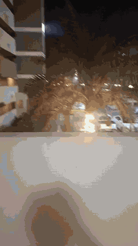 مجمع B1 عمارة ١١٠ • ١٠٠م • مفروشة