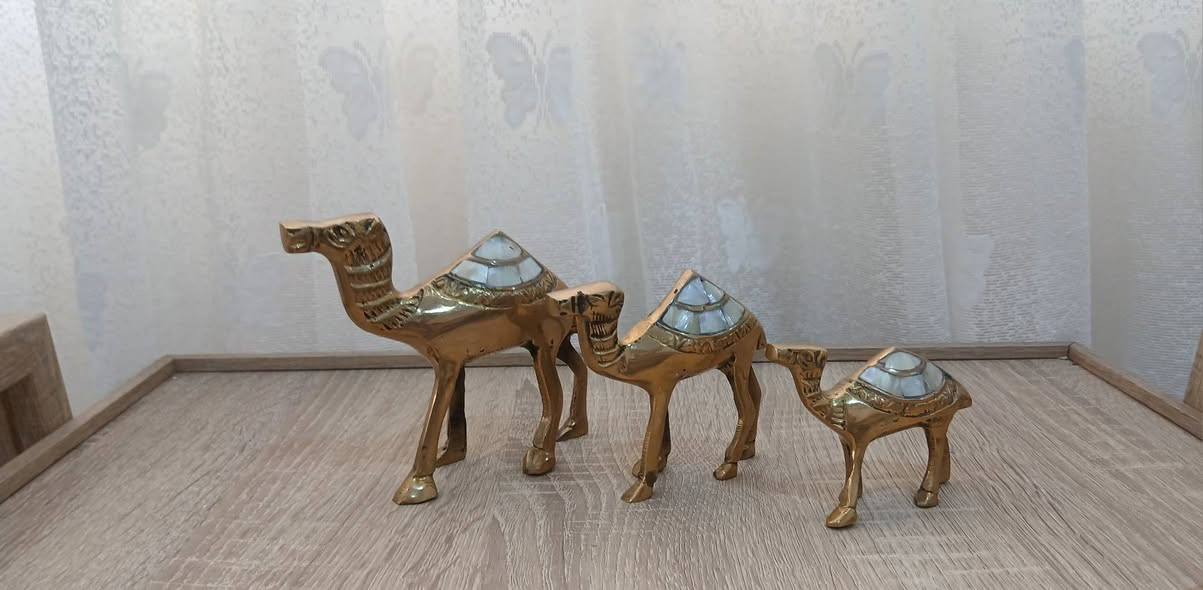 بؤ فرؤشتن السليمانية, العراق


**إذا كنت صاحب هذا الإعلان وتريد حذفه لأي سبب، رجاءا أرسل رسالة إلى الدعم الفني**