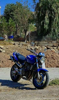 هۆندا هۆڕنێت • چوار بستۆن • سالنسای سپۆرتی