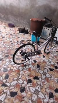 ليبس • ٢٠٢٠ • نضافة