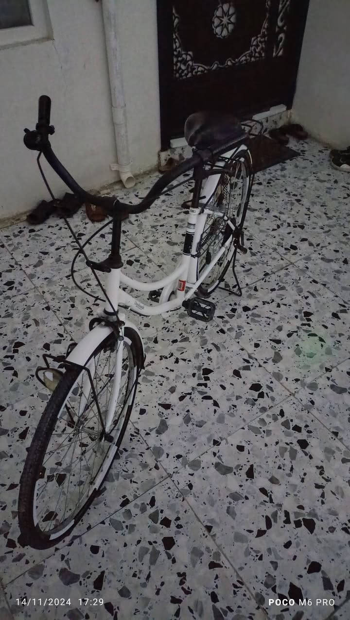 بايسكل مال حاويه أو انتو تعرفون مال حاويه غالي سعر130بي مجال


**إذا كنت صاحب هذا الإعلان وتريد حذفه لأي سبب، رجاءا أرسل رسالة إلى الدعم الفني**