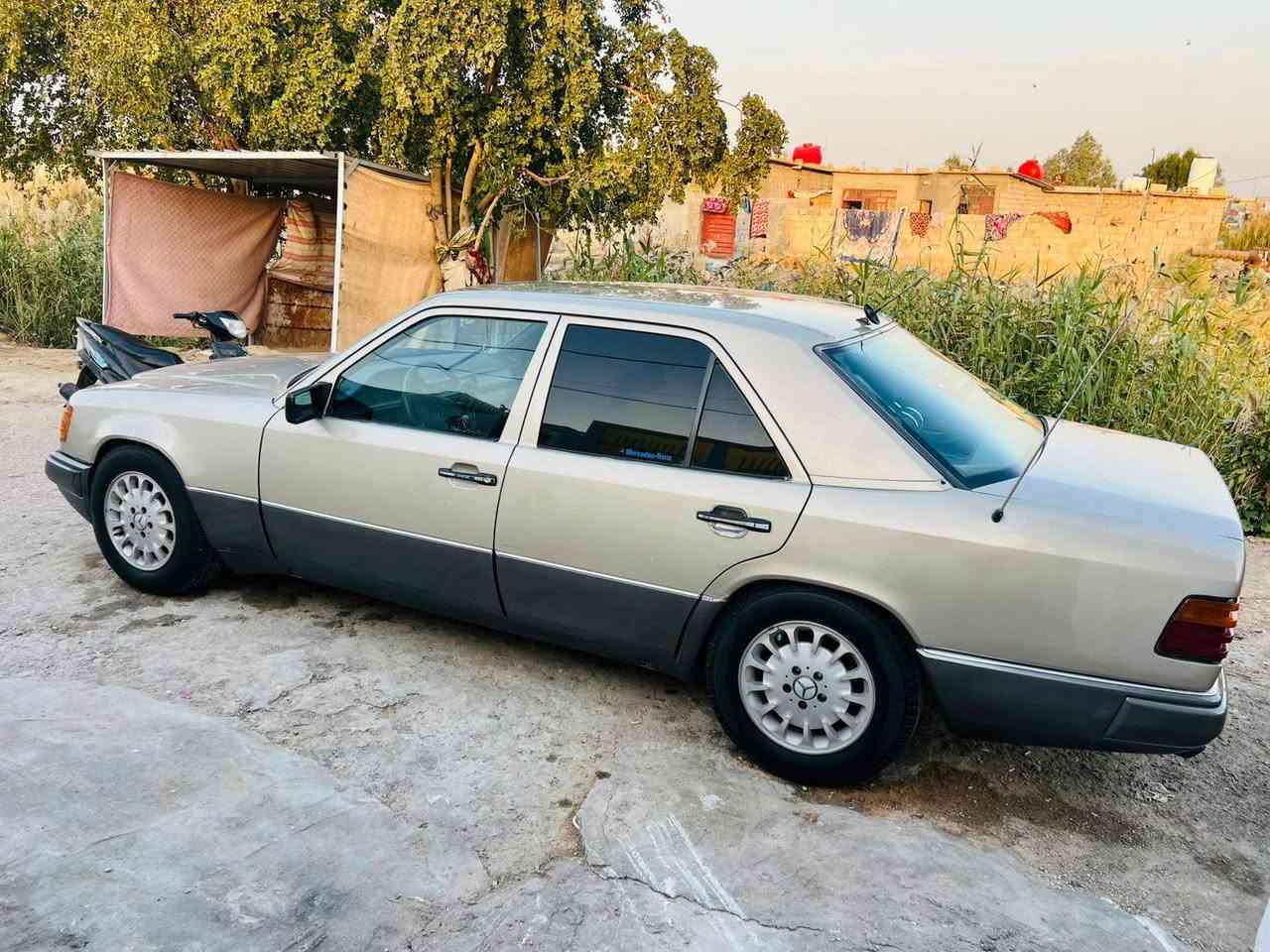 سلام عليكم موديل ٨٦
مارسدس دب حجم300
كير كهربائيات خير من الله 
تخم تاير رقم سليمانيه بسمي سنويه ٢٩
مكينه بطه ٣٠٠٠
فقط المكينه بيهه يطق بس تمشي خير من الله 
مكاني بابل ***********
بيع ٤٨ او مراوس
