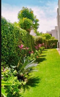 موجودحدقجي تنضيف وزرع وتقليم الاشجار وتنضيف الحدائق وانسب الاسعار شغل ...