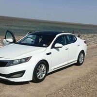 اوبتما ٢٠١٣ • رقم ذي قار • ابيض صدفي صبغ