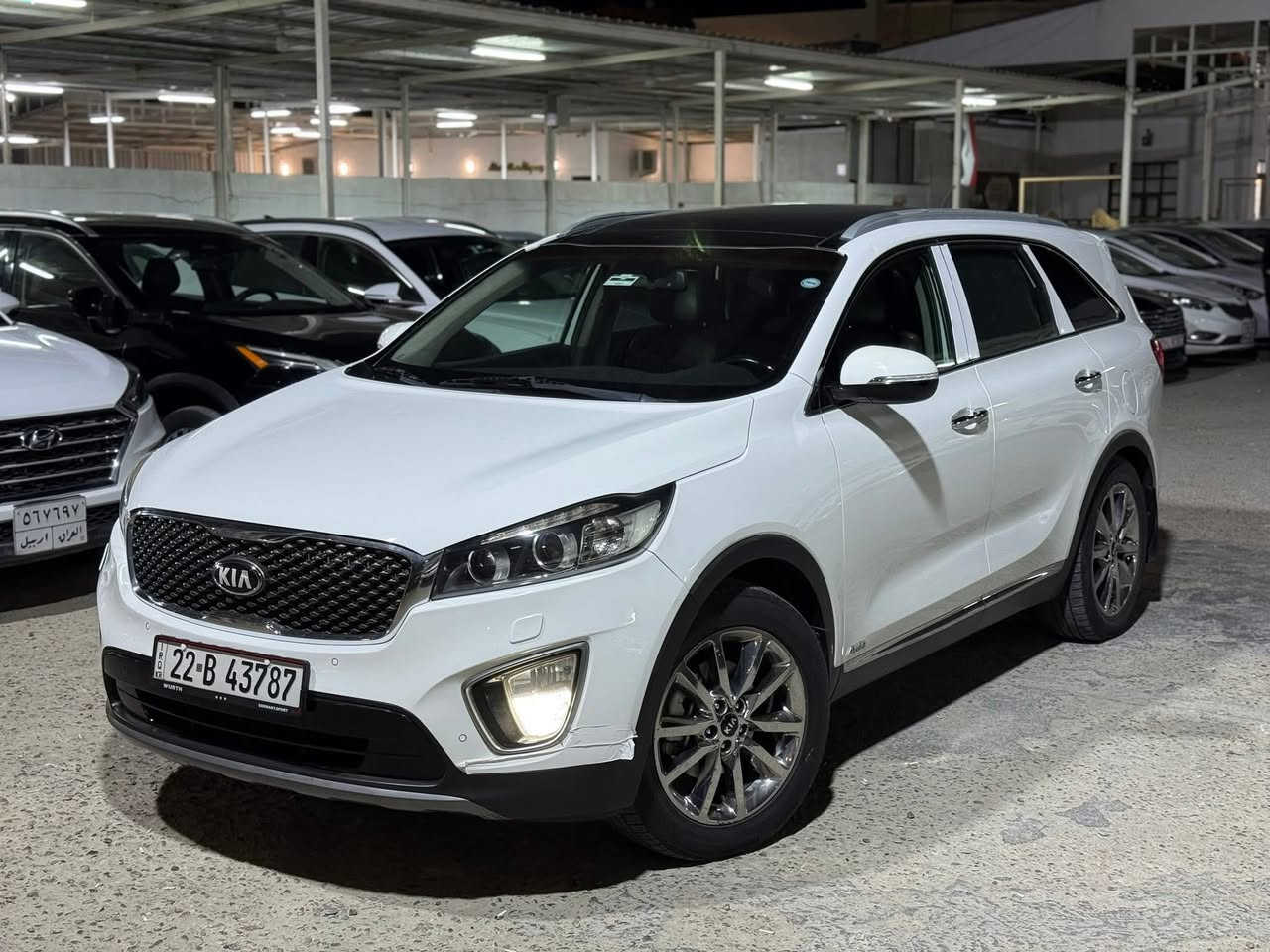 السلام عليكم
سورنتو 2015 خليجي كويتي شكل 17 
رقم اربيل تحويل مباشر 
محرك 4 سلندر 
سياره جديده بمعنى الكلمه وبعدها عل وكاله 
ماشيه 86 الف كيلو فقط حقيقي 
سياره نضيفه وفول مواصفات 1/1 وكفاله عامه 
مواصفاتها الفول 
بصمه تشغيل + بصمه أبواب + يدات نيكل + ويل كروم + اشاير بل مري + لد امامي خلفي + بزاز بل دعاميه + سقف بانورامي + صندوق كهربائي + حساسات امامي خلفي + كامره خلفيه +كشنات كهربائيه + خزن ميموري +داخل جلد + تدفئه بل كشنات اماميه وتبريد + تدفئه للكشنات خلفيه + 3 قطع تبريد +هاندبريك بصمه +اوتو هولد + تحكمات +مانع انزلاق + دفع رباعي + 7 راكب + بردات بل بوب + زنون + انضمه قياده                         باقي المواصفات معروفه 

سعرها 195 وبيها مجال قليل 
—————————————————-
***********
