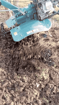 رافوسة مالت بساتين ومالت احداق
ال يجار  بسعر مناسب تقمج شبر  

اني مكلف بل نشر 
هاذ رقم صاحبهة 

***********   👋
