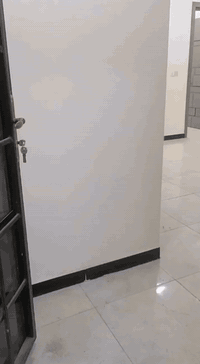 شقق للايجار طابق ارضي طابق اول طابق ثاني غرفه وصاله الموقع حي الجامعه ...