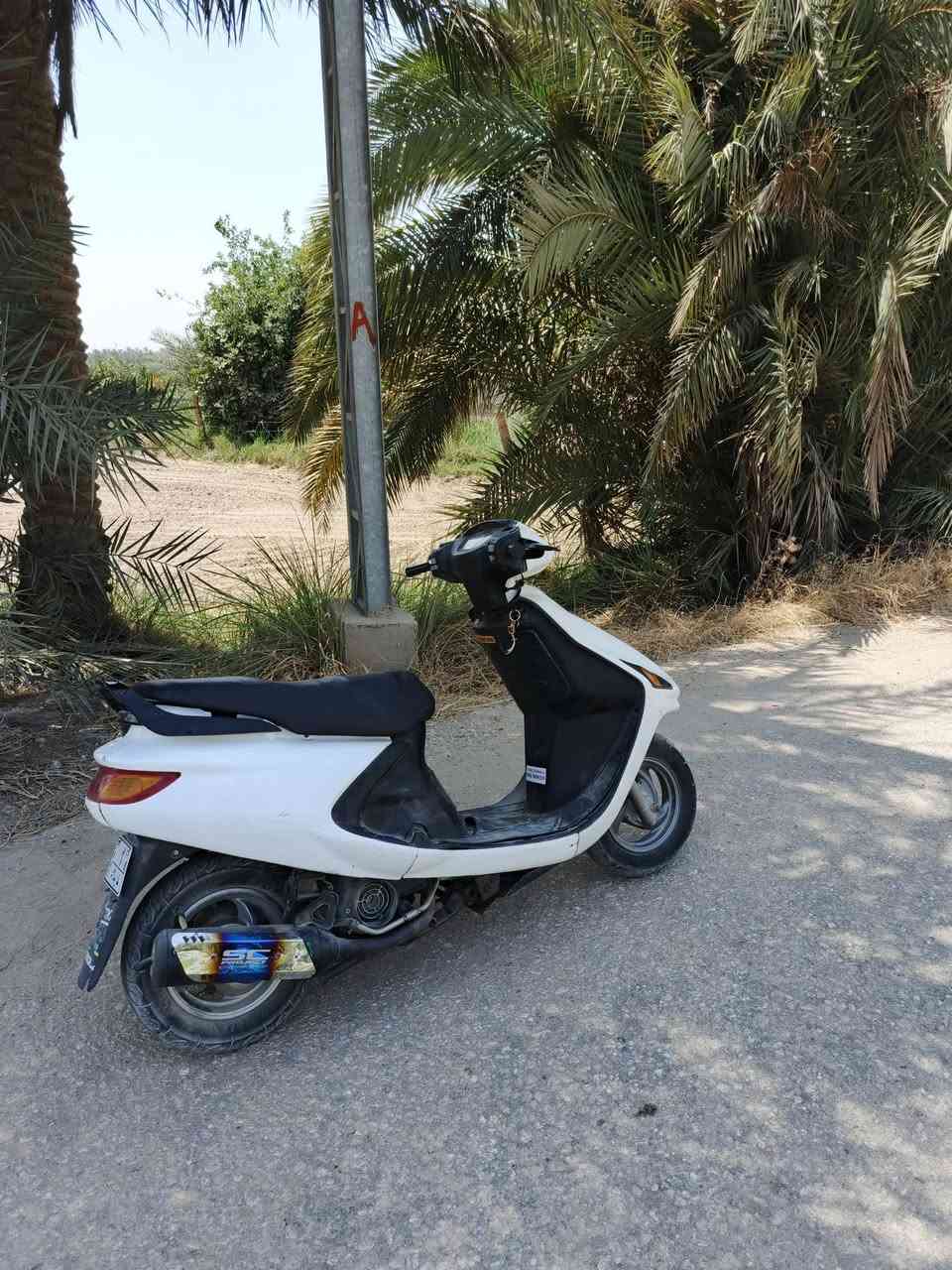 سلام عليكم دراجه فراشه للبيع الدراجه ناعمه وحلو بل مشي السعر خاص


**إذا كنت صاحب هذا الإعلان وتريد حذفه لأي سبب، رجاءا أرسل رسالة إلى الدعم الفني**