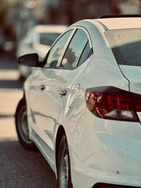 النترا 2019 • فول اوبشن • كفاله عامه